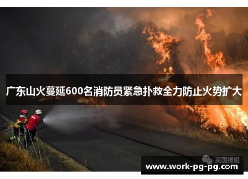 广东山火蔓延600名消防员紧急扑救全力防止火势扩大